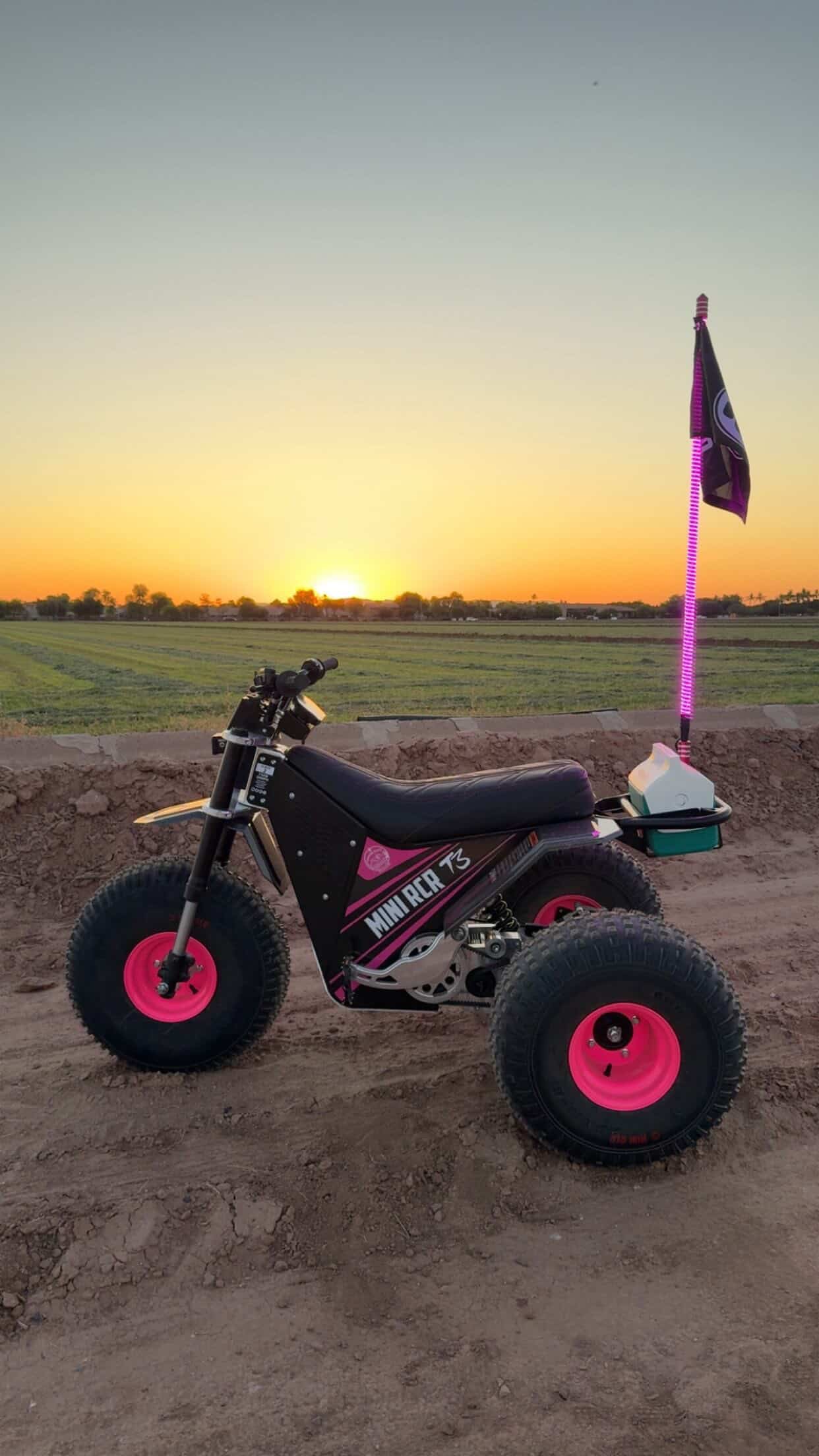 Game Changer LED Whip Set - Malibu Barbie Pink