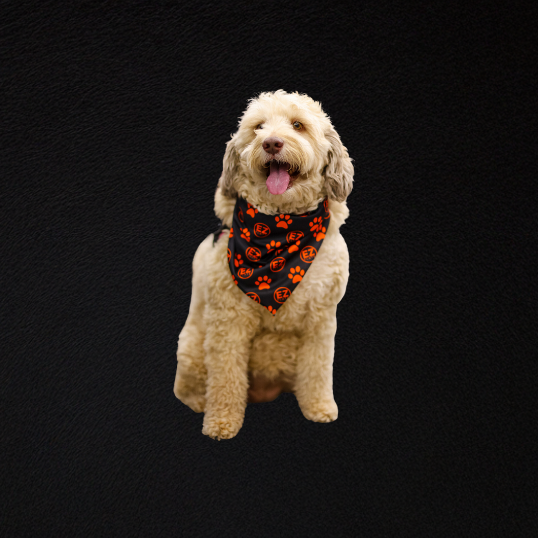 Dog wearing a lightweight black and orange dog bandana with paw print and EZ logo design