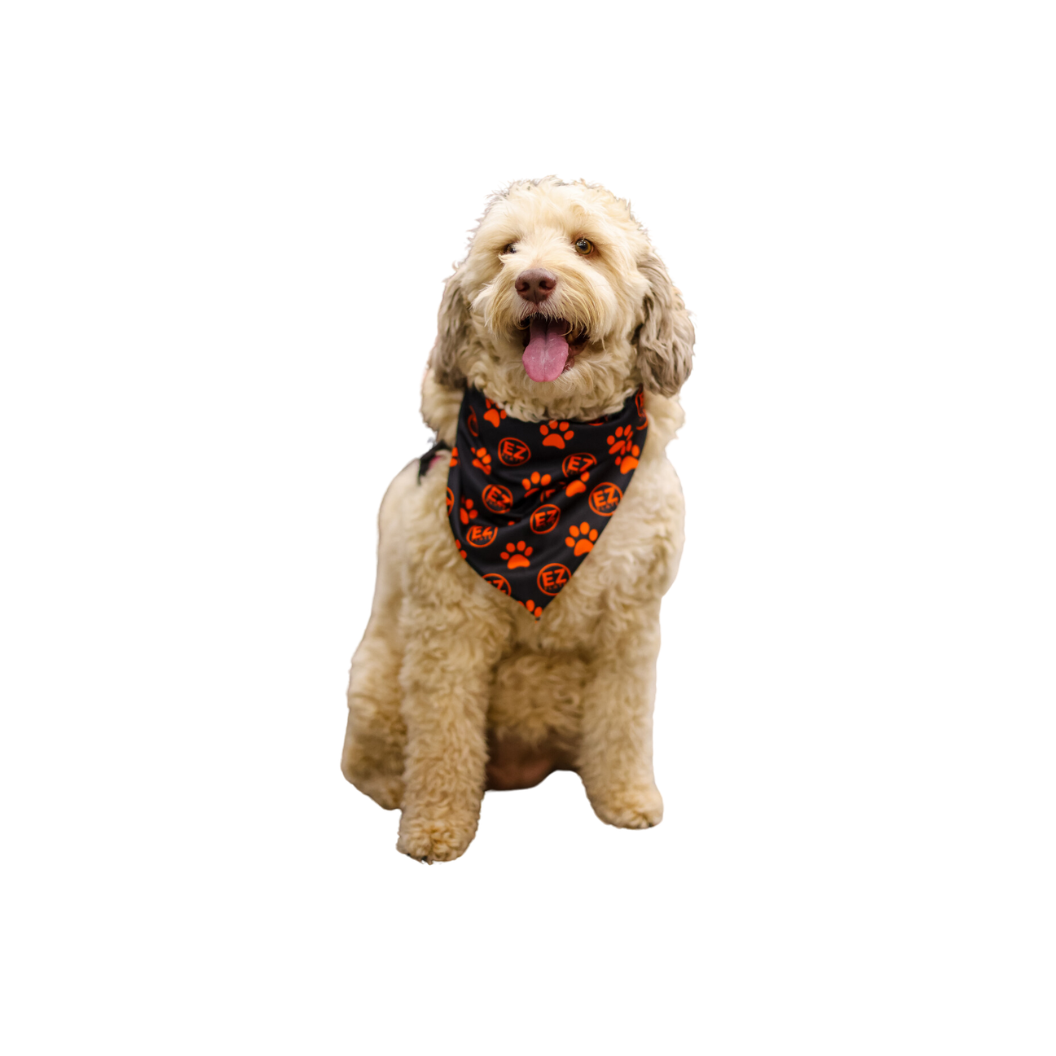 Dog wearing a lightweight, adjustable dog bandana for small to large dogs