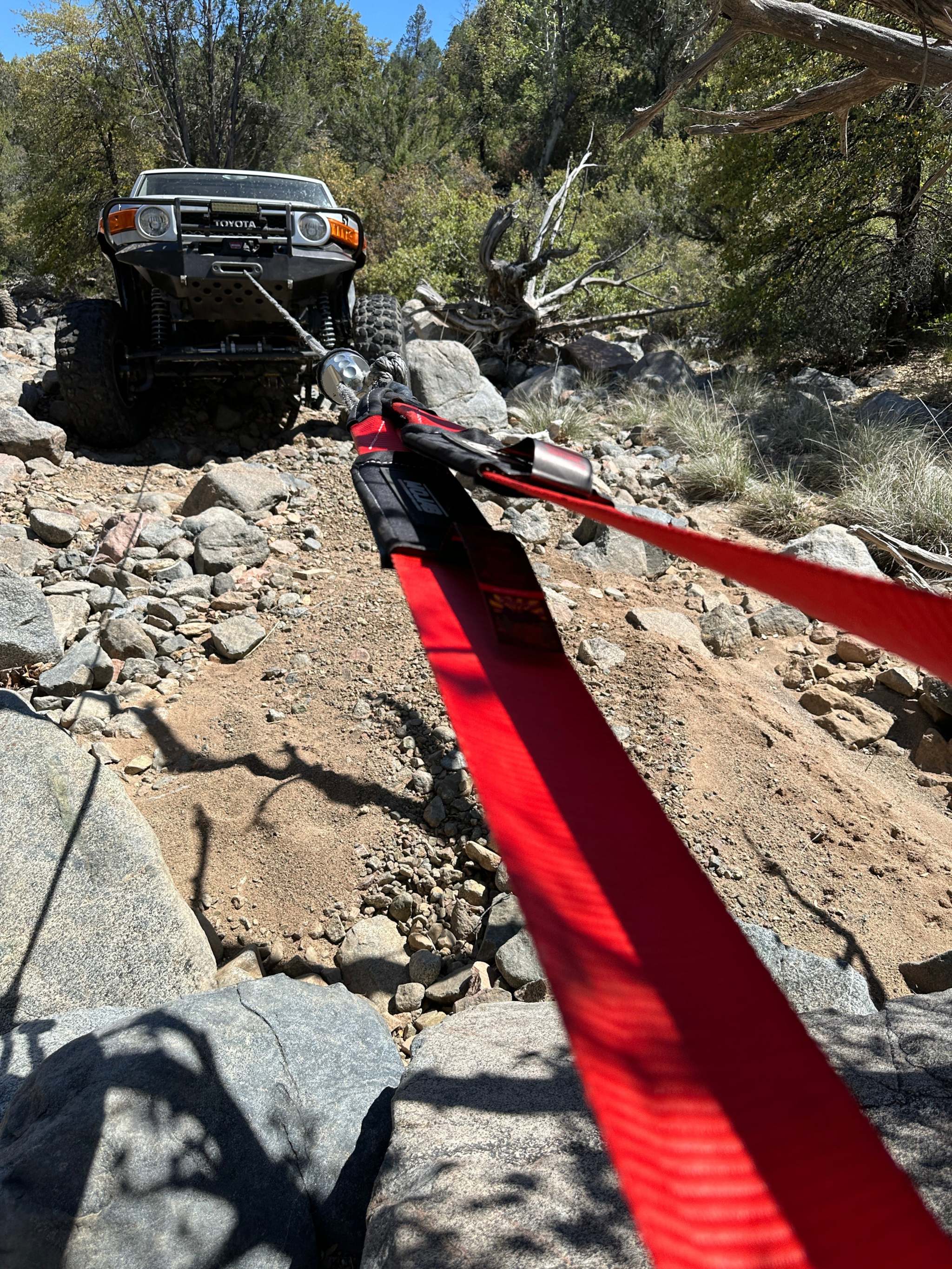 Tree Saver Strap - 4'' x 10 FT. Tow & Winch Strap | Lifetime Warranty