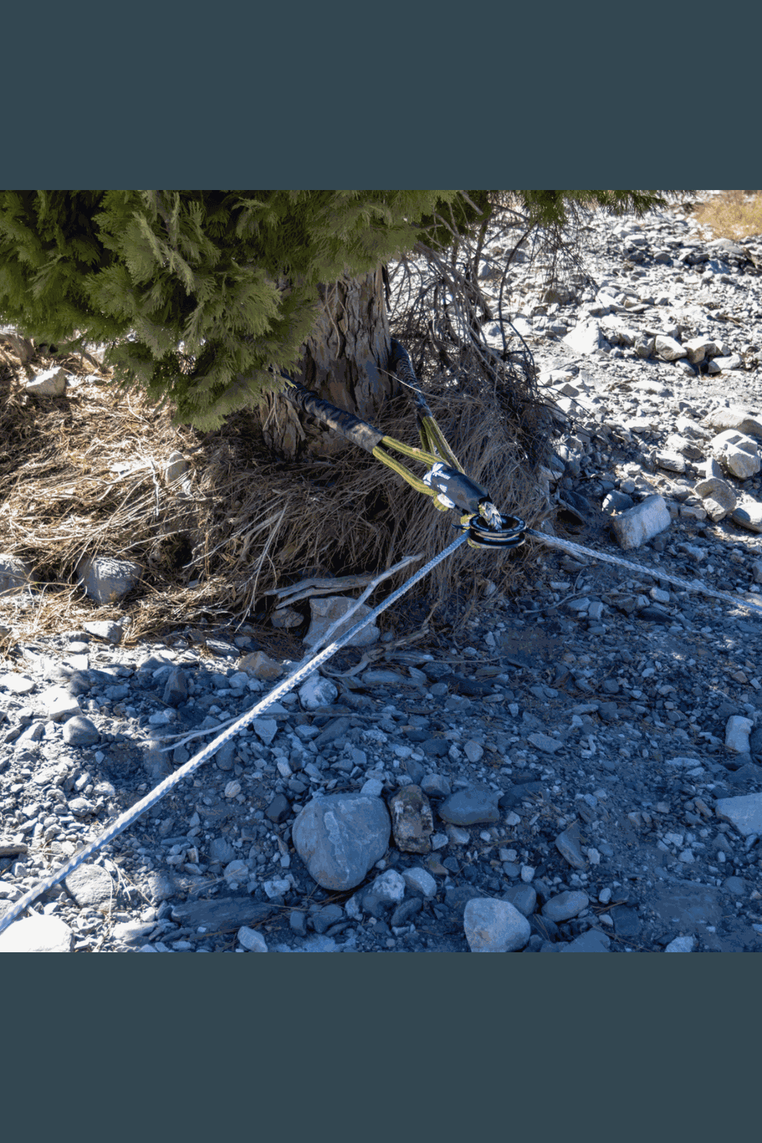 Titan Recovery Kit used for off-road recovery, showing ropes and shackles secured to a tree on rocky terrain.