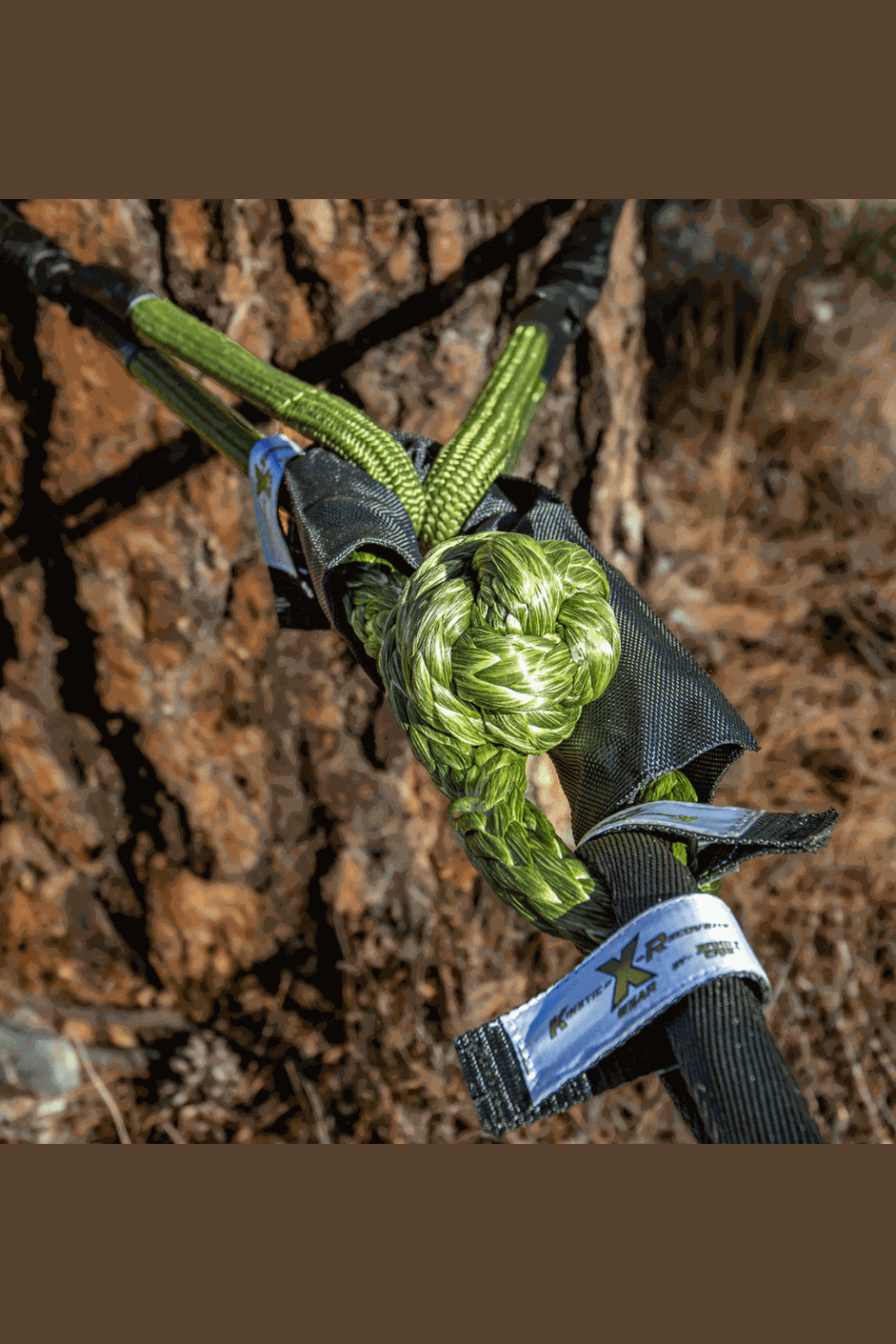 Titan Recovery Kit attached to a tree, showcasing innovative Hitch Hero Bridle and durable components for off-road use.
