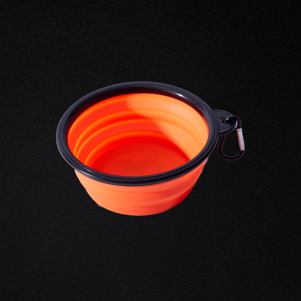 Orange collapsible dog bowl with black rim and clip on black background