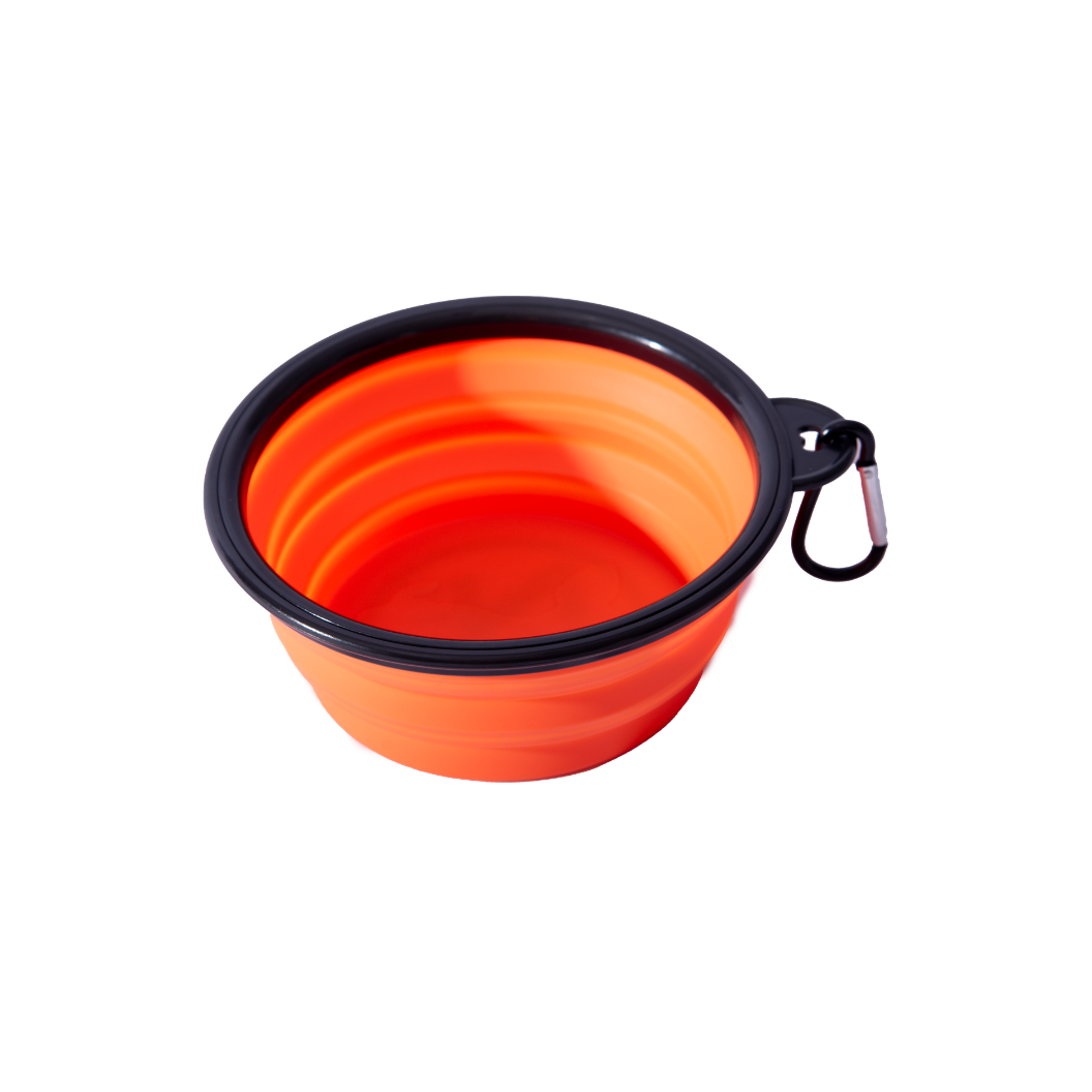 Collapsible dog bowl folded flat and expanded for outdoor use, portable and lightweight for travel and pet hydration