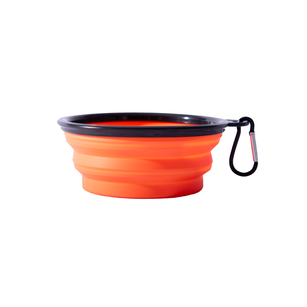 Collapsible Dog Bowl