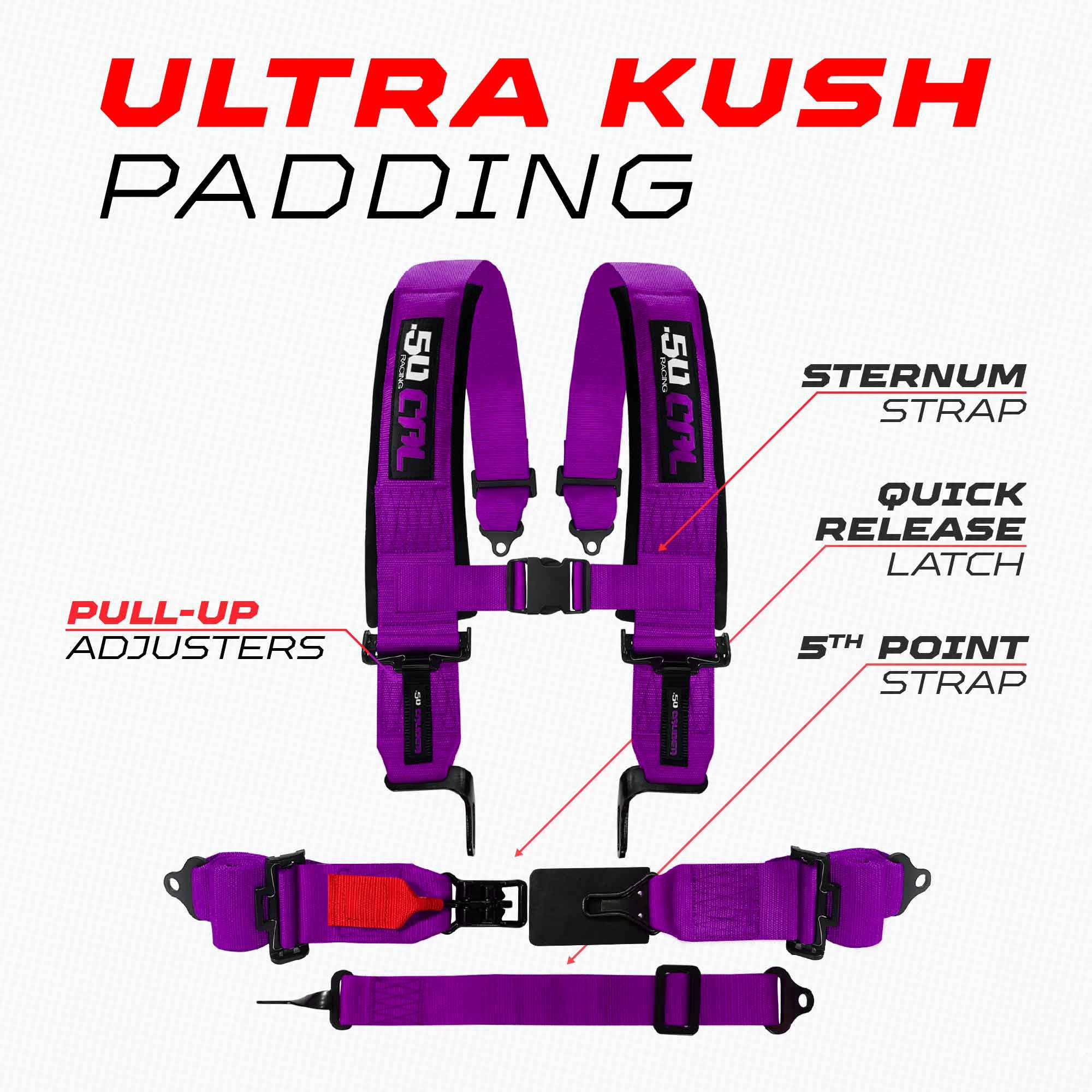 SFI Approved 2" and  3" 5 point Harness, Racing Harness