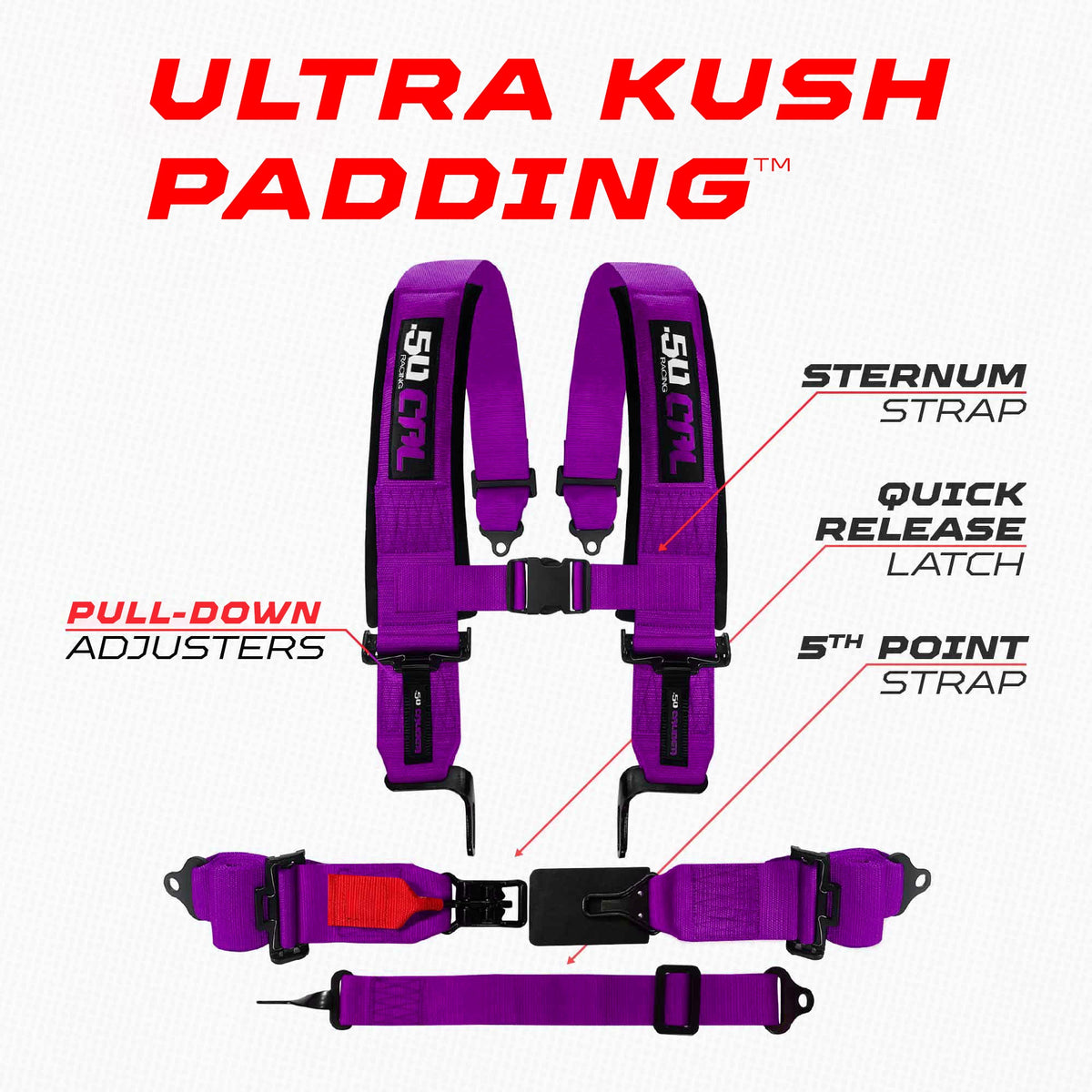 SFI Approved 2" and  3" 5 point Harness, Racing Harness