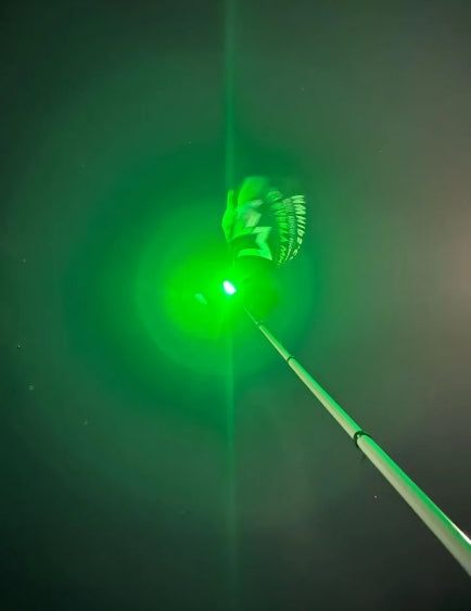 Mwhips 4’ Bluetooth Color Changing Camp Locator - Bright & Waterproof