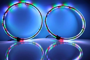 Descriptive image text