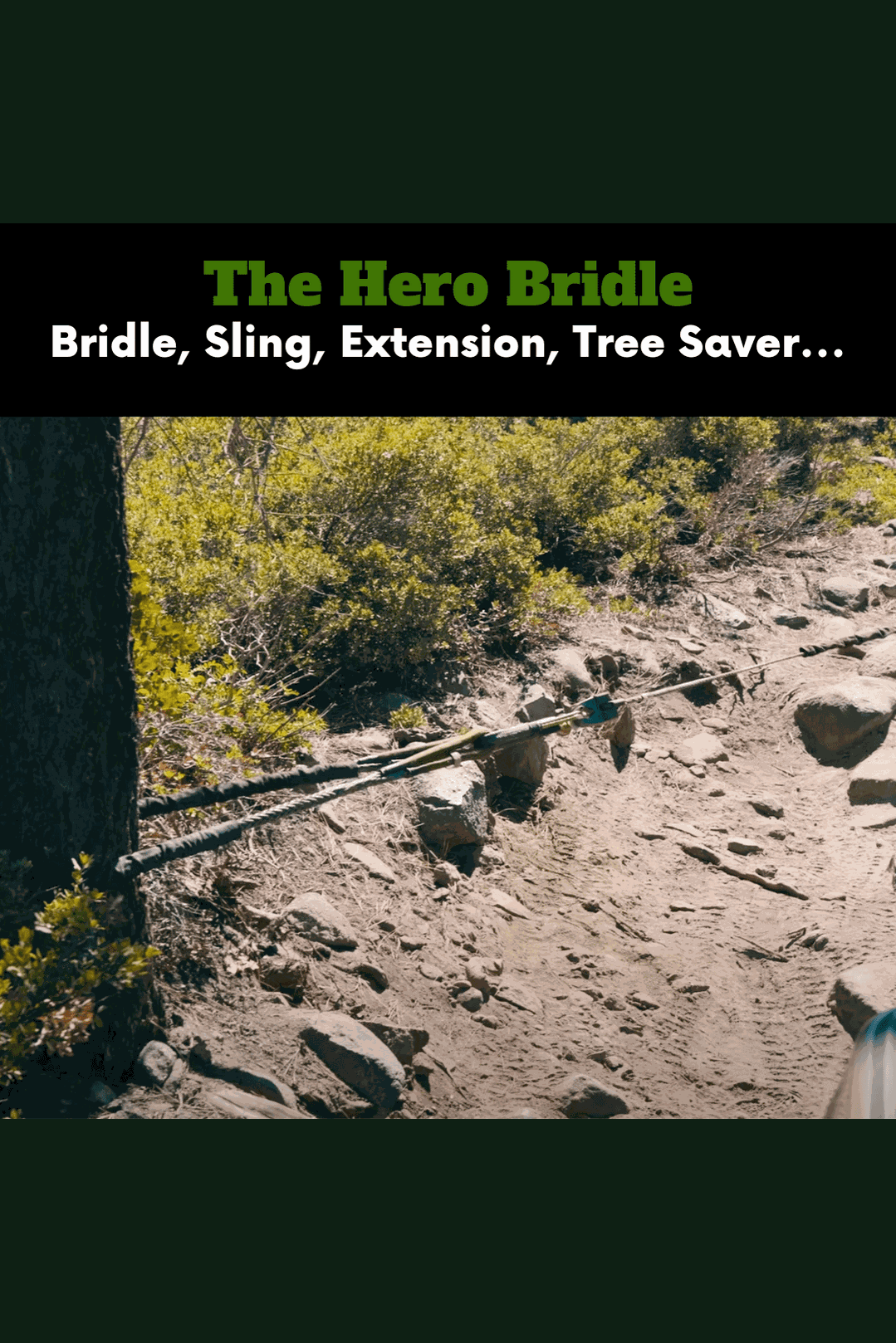 Hero Bridle