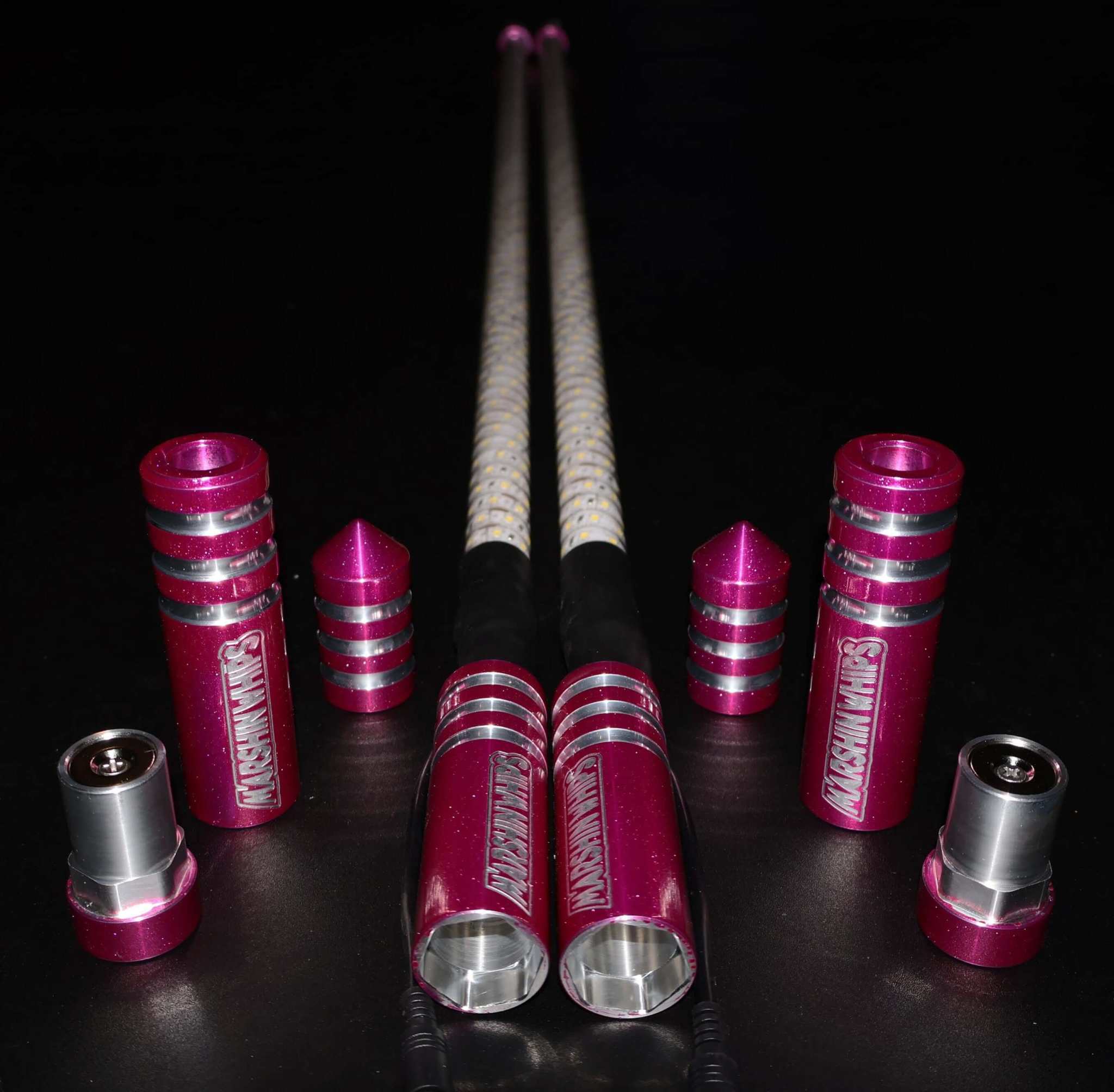 GAME CHANGER MALIBU BARBIE fully lighted customizable offroad whip set in pink and silver